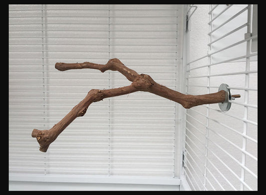 ๐ Natural Perch (100% off)