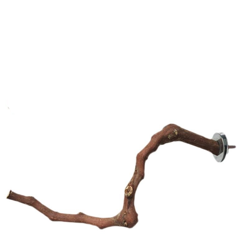 π Natural Perch (100% off)