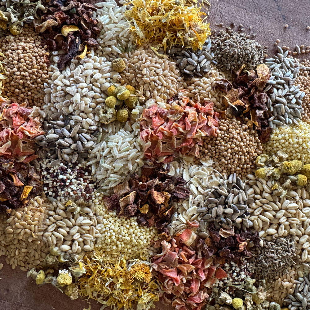 Blissful Balance Organic Parrot Food