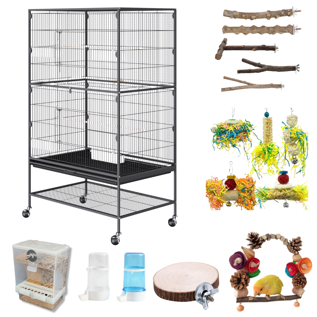 Bird Starter Pack
