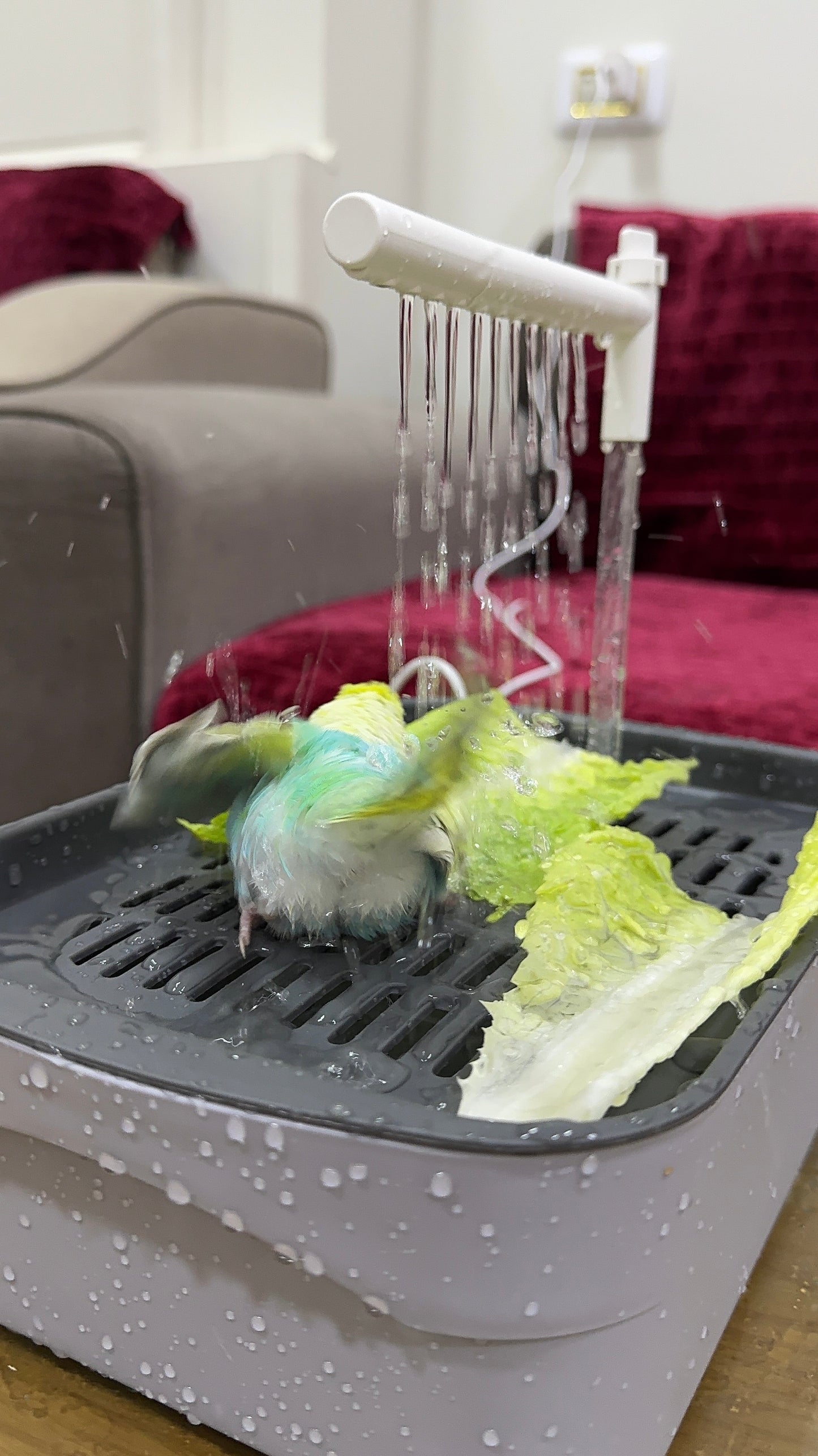 Sky Spray Bird Bath