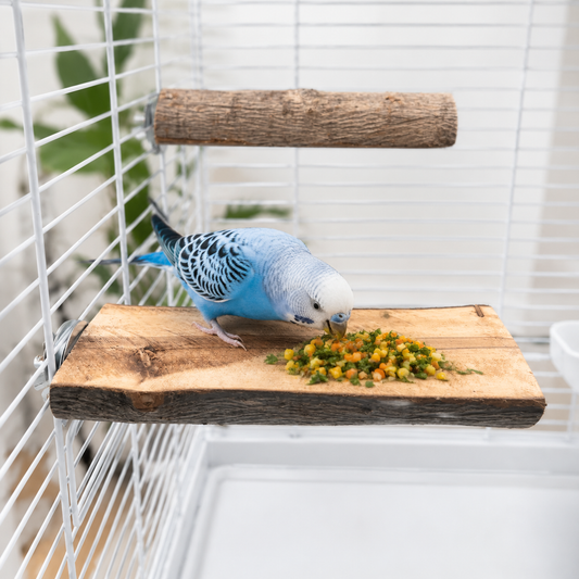 Natural Comfort Perch