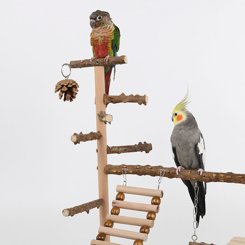 Birdie Adventure Tower