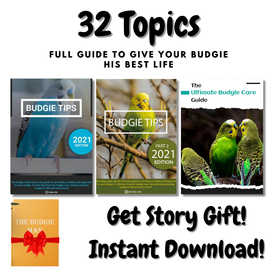 Budgie Educational ebook full bundle offer!