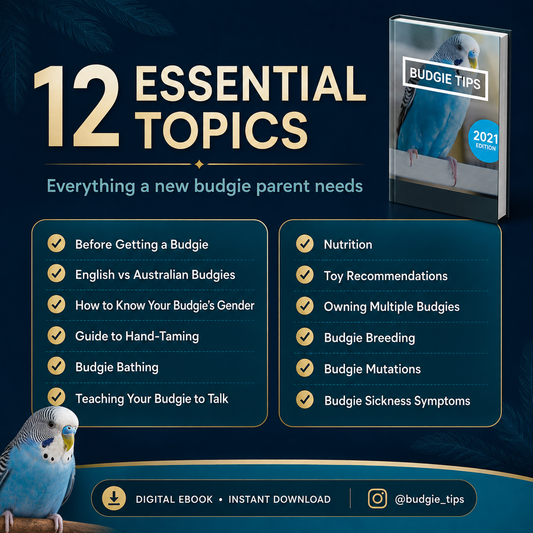 Budgie Educational Ebooks Bundle 2