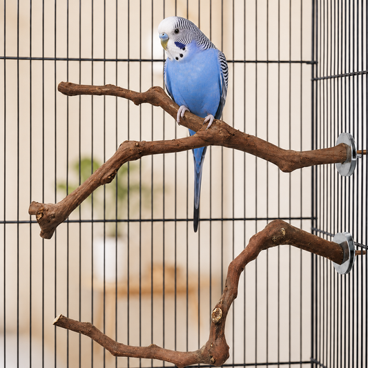 Natural Perch