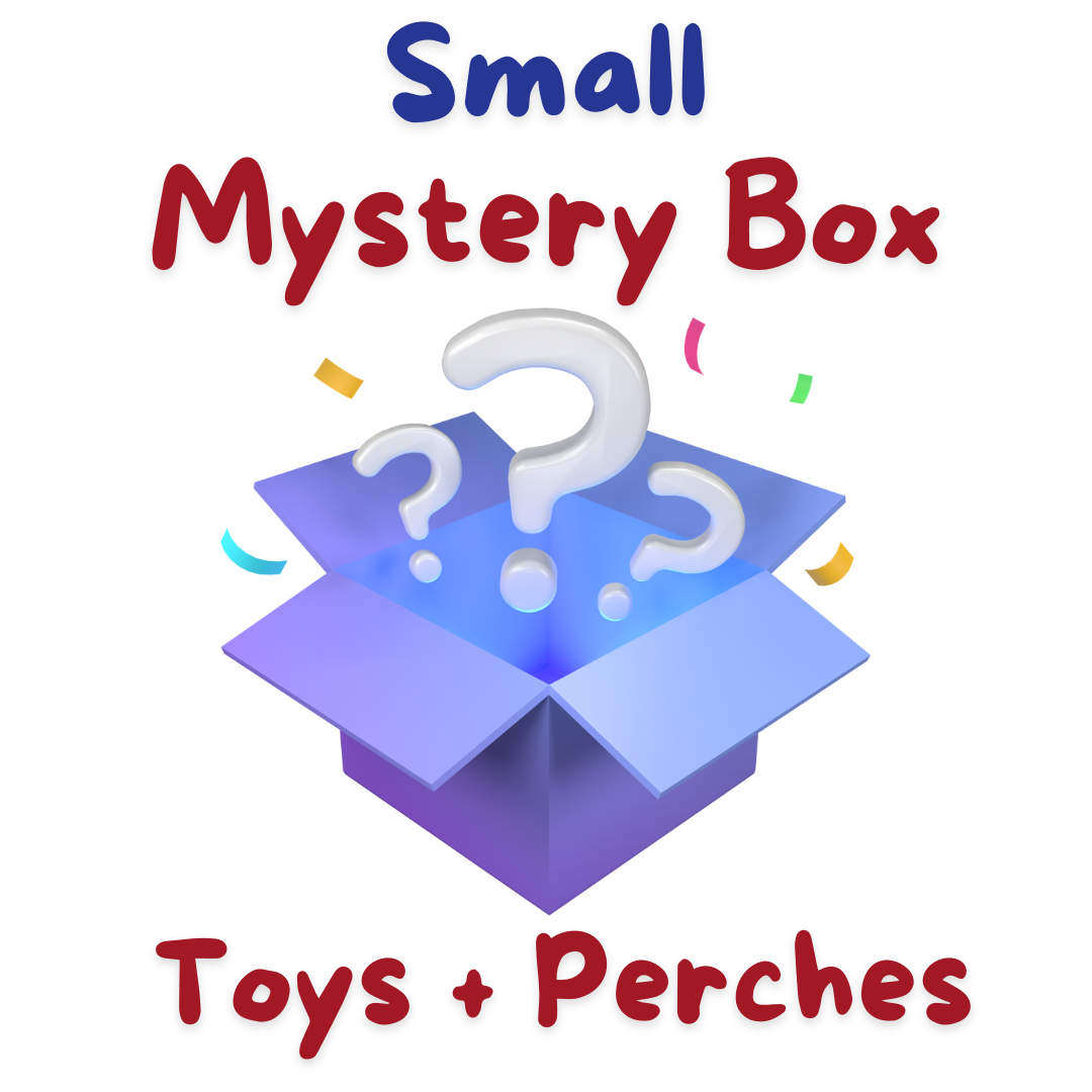 Small Mystery Box
