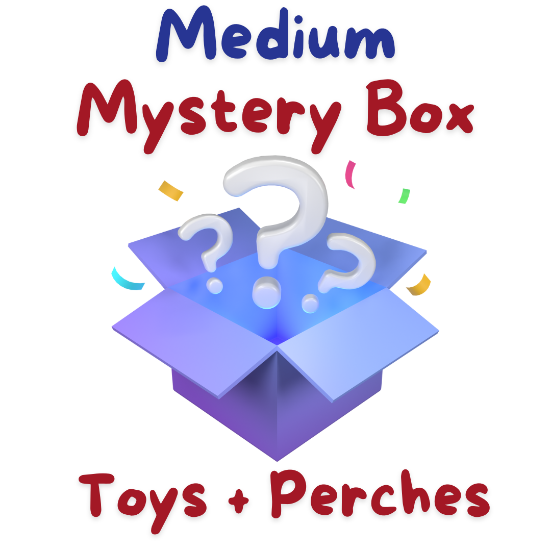 Medium Mystery retailer Box