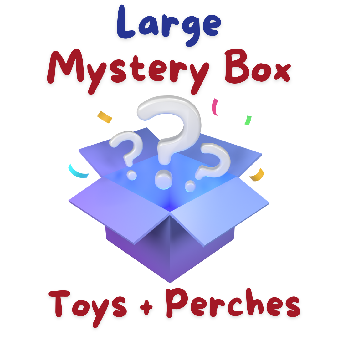 Large Mystery Box
