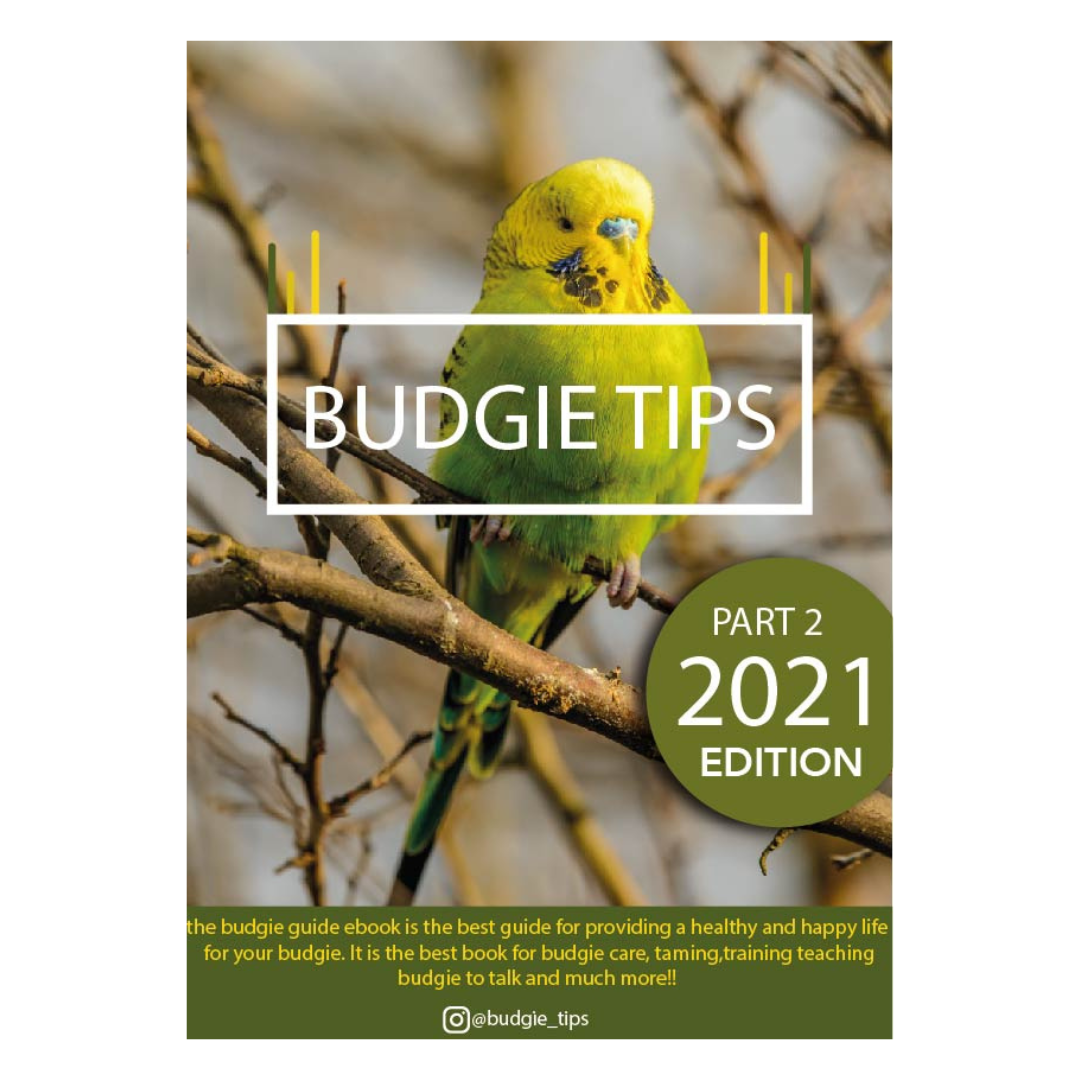 Budgie educational book BudgieUniverse