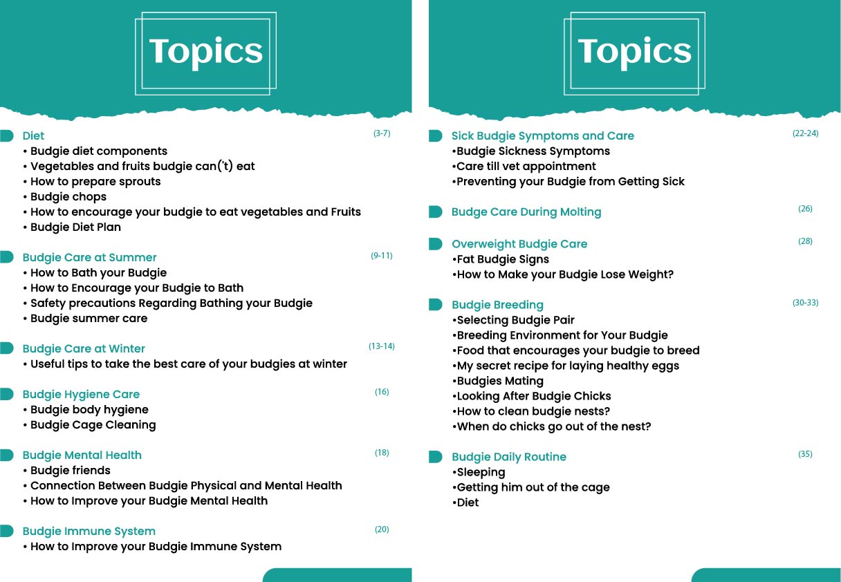 Budgie Educational ebook full bundle offer!
