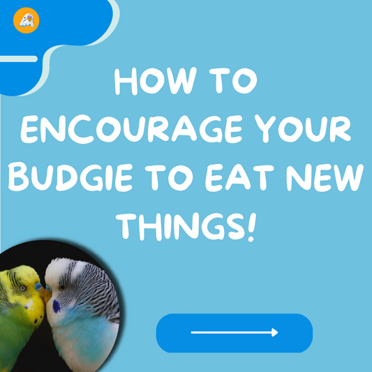 How to encourage to eat new things!