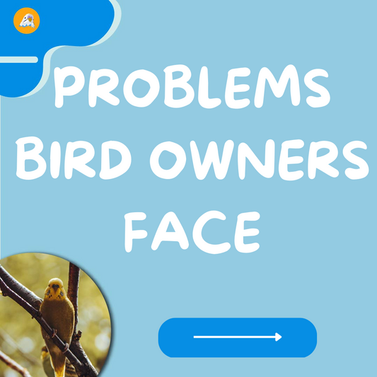 PROBLEMS BIRD OWNERS FACE Pt.1