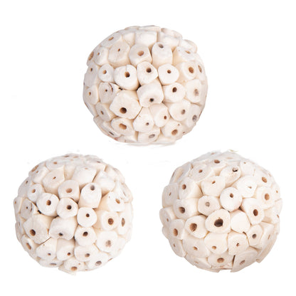 🎁 Beak Bites (100% off)