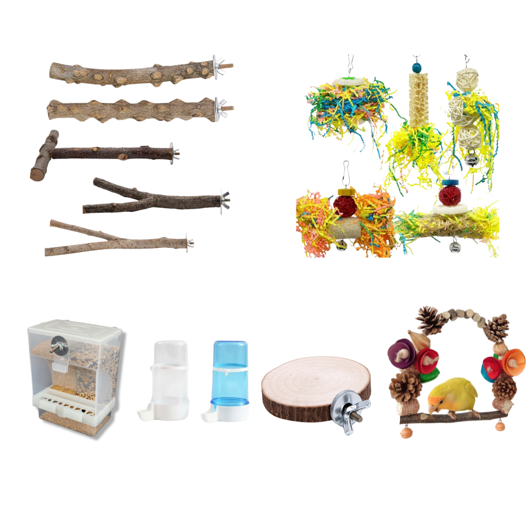 Bird Starter Pack
