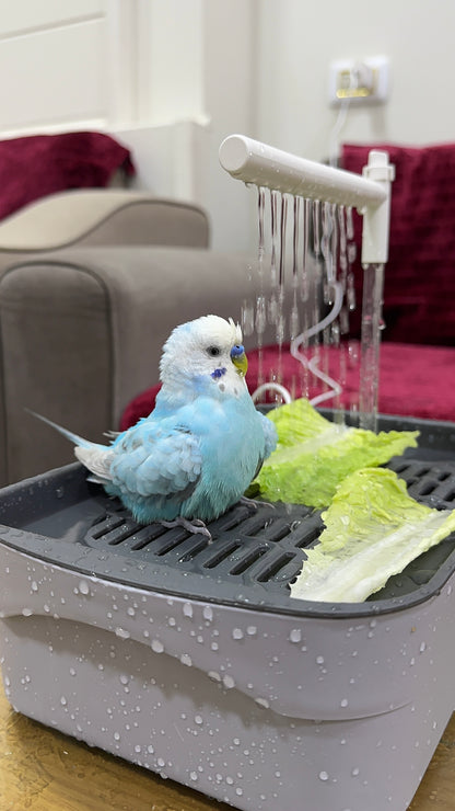 Sky Spray Bird Bath