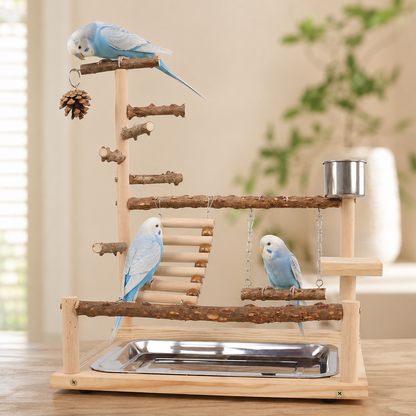 Birdie Adventure Tower