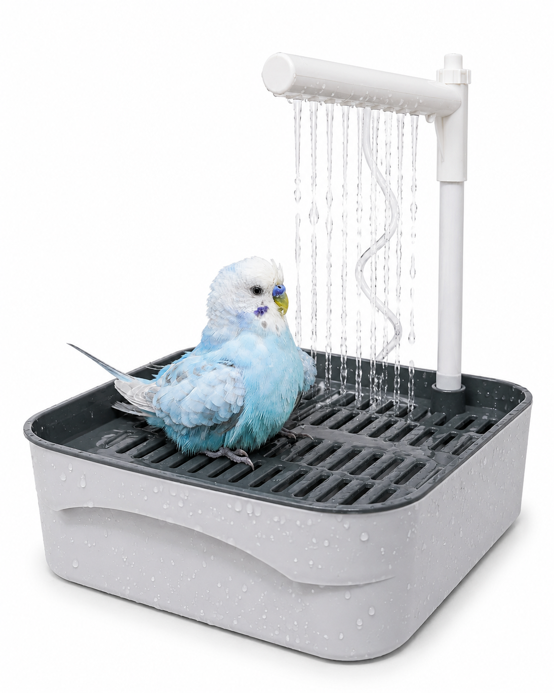 Sky Spray Bird Bath