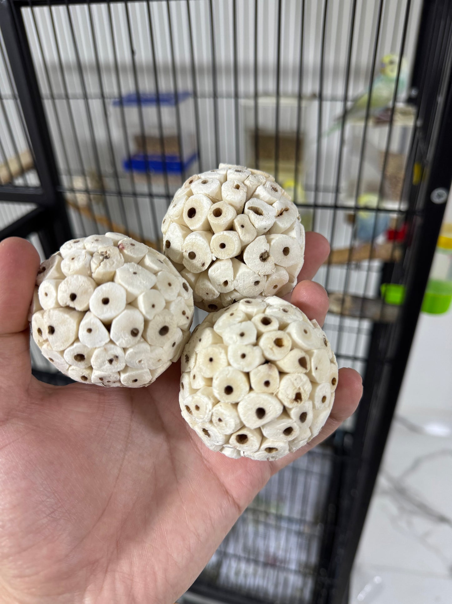 Beak Bites