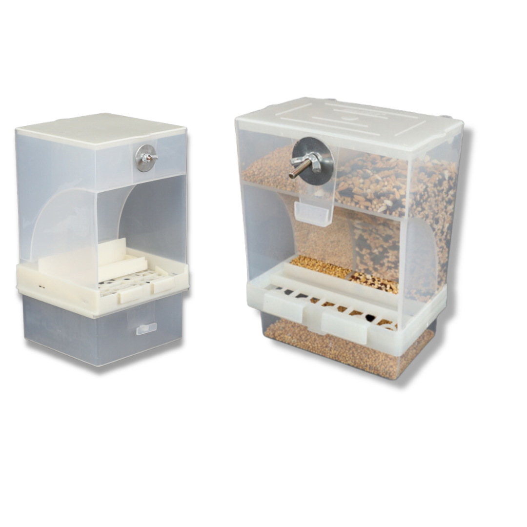 🎁 Automatic Bird Feeder (100% off)