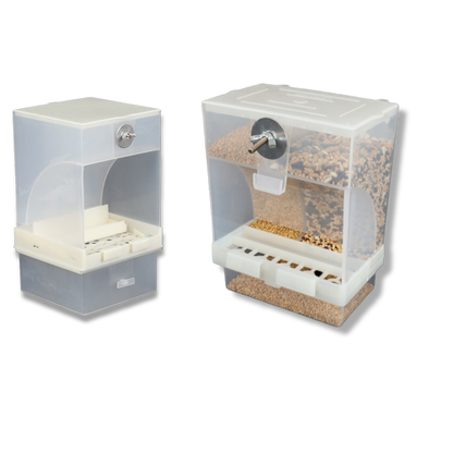 🎁 Automatic Bird Feeder (100% off)