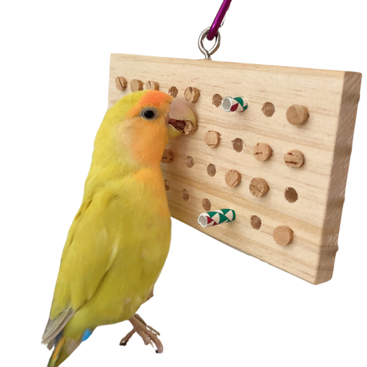 🎁 Keyboard Chewy Toy (100% off)