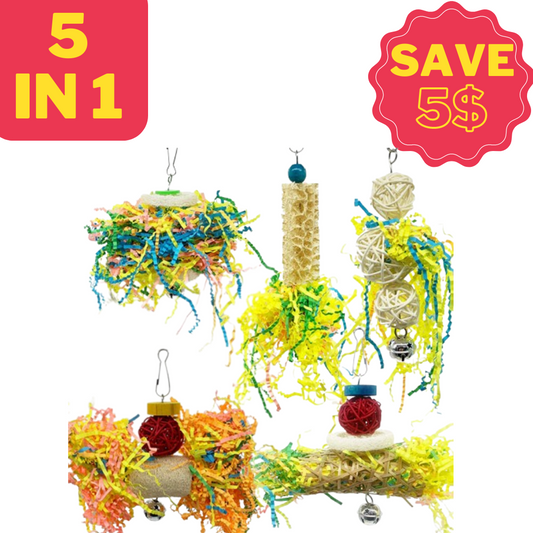 🎁 FUN PACK (100% off)