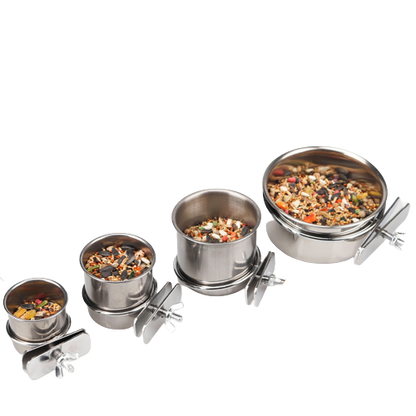 🎁 Bird Feeder (100% off)