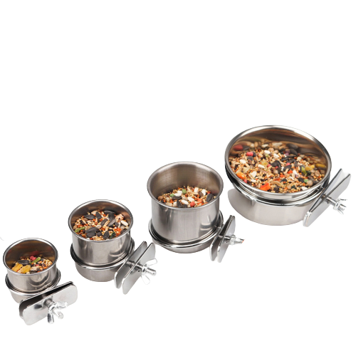 🎁 Bird Feeder (100% off)