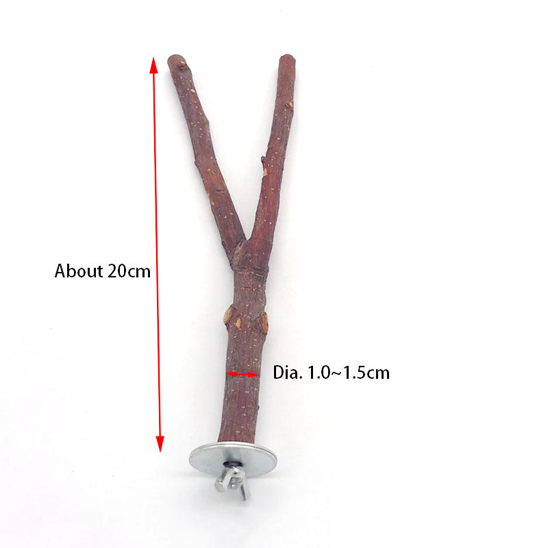 🎁 Bird Natural Perches (100% off)