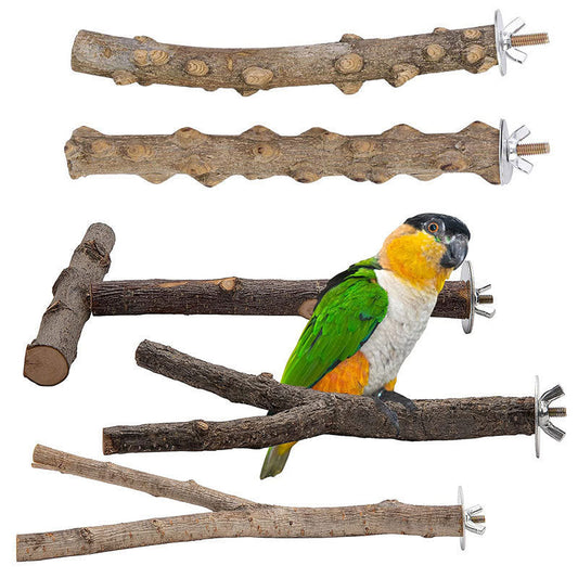 🎁 Natural Perch Pack (100% off)