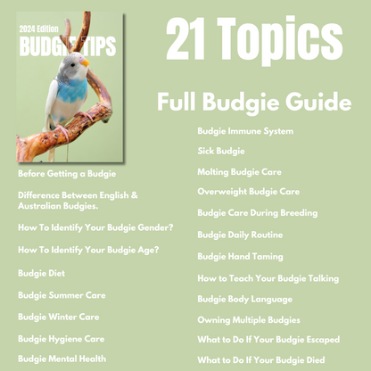 Budgie Tips Guide Book 2024 Digital Edition (Instant Download)