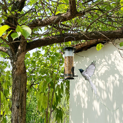 Hanging Automatic Bird Feeder