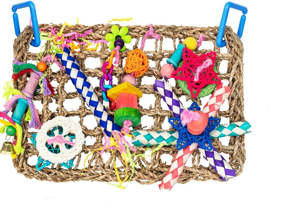 🎁 Shredding Forest (100% off)