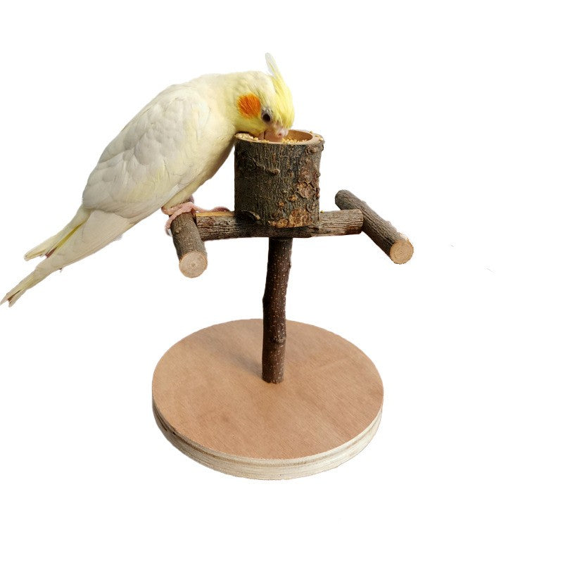 🎁 Bird Stand (100% off)