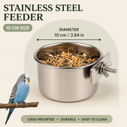 Bird Feeder