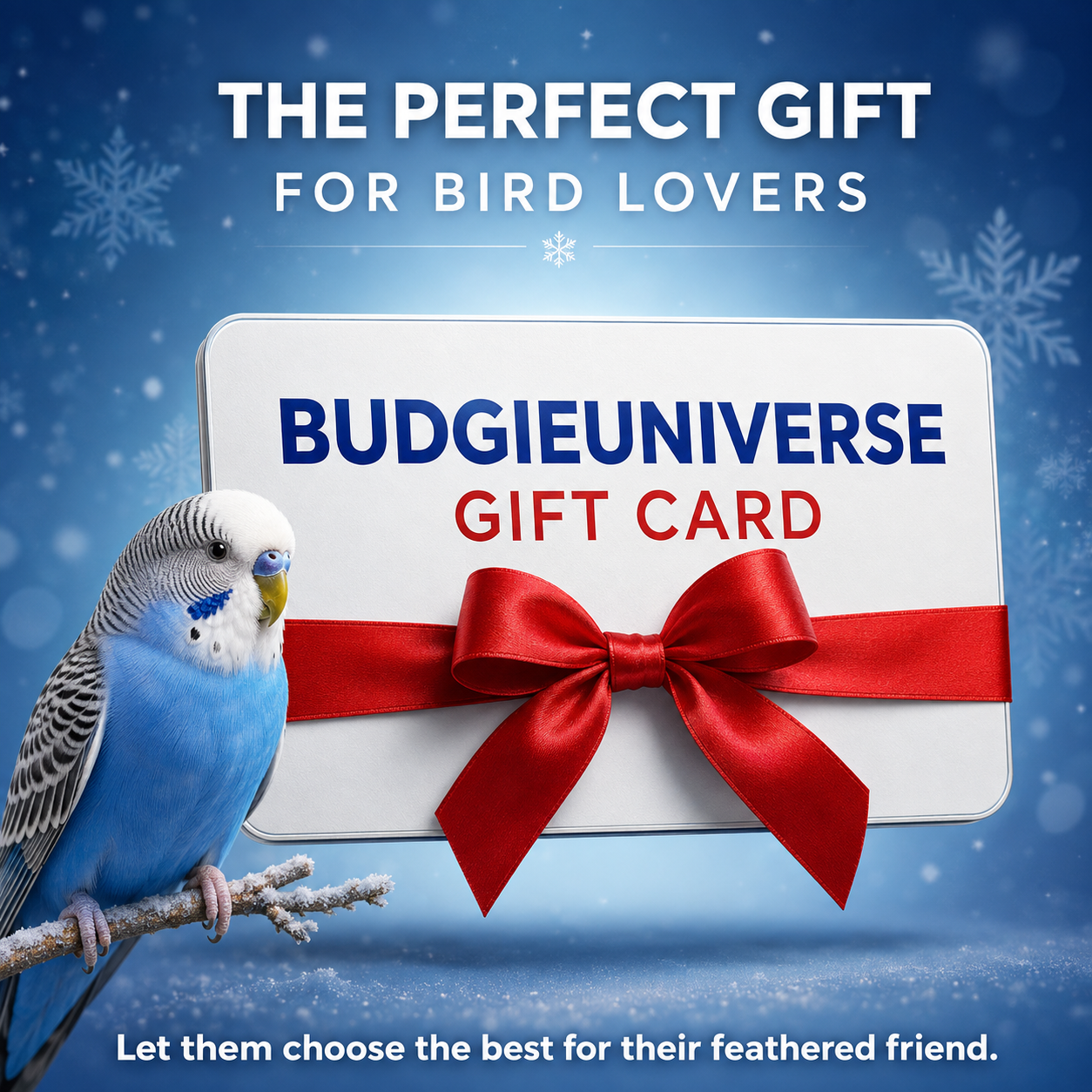 Happy Feathered Friend Gift Card