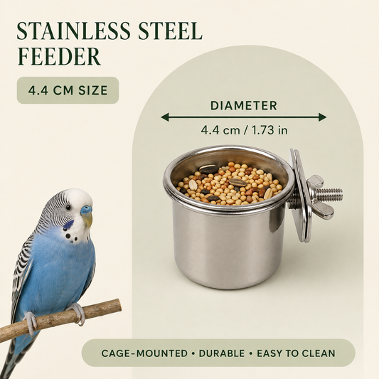 Bird Feeder