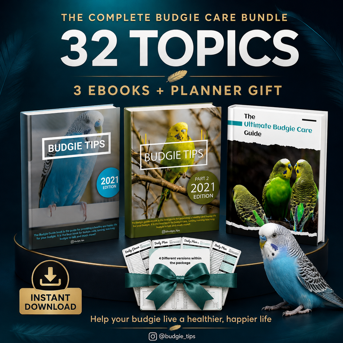Budgie Educational Ebooks Bundle 2