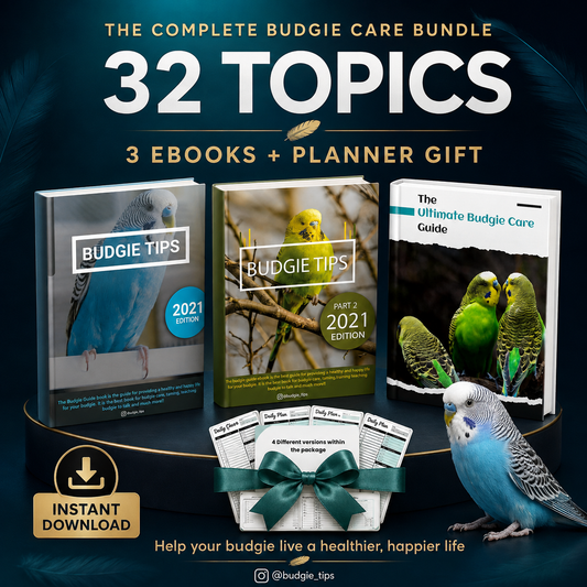 Budgie Educational Ebooks Bundle 2