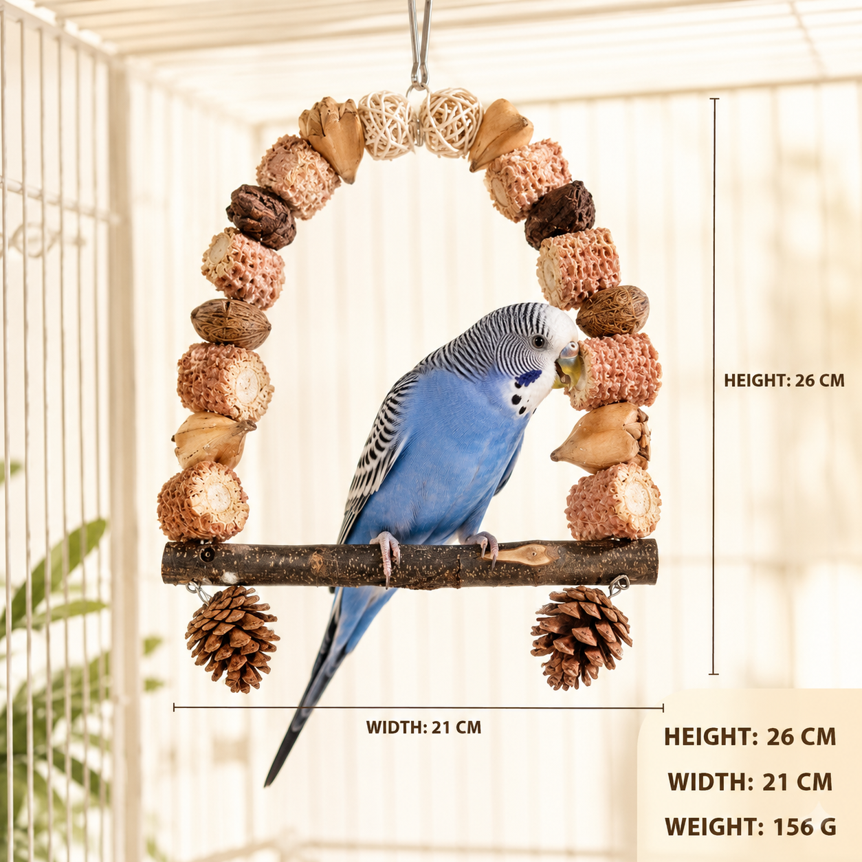 Chewy Bird Swing