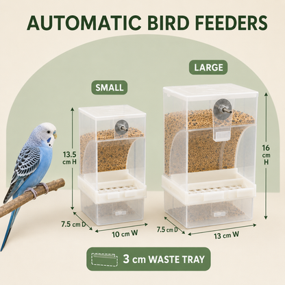Automatic Bird Feeder