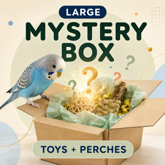 Large Mystery Box