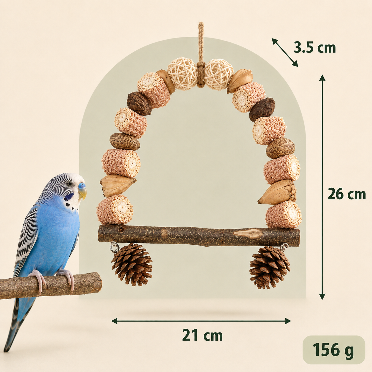 Chewy Bird Swing