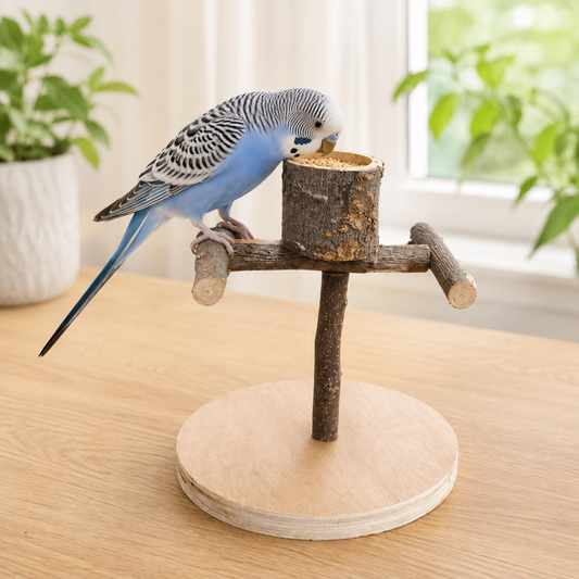 Bird Stand