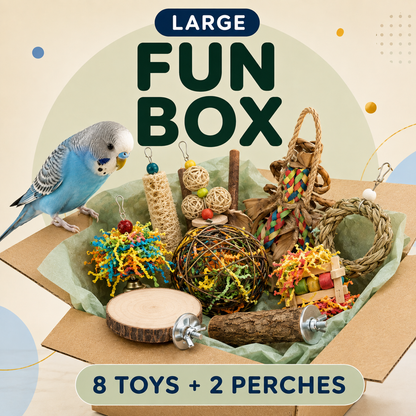 Large Fun box