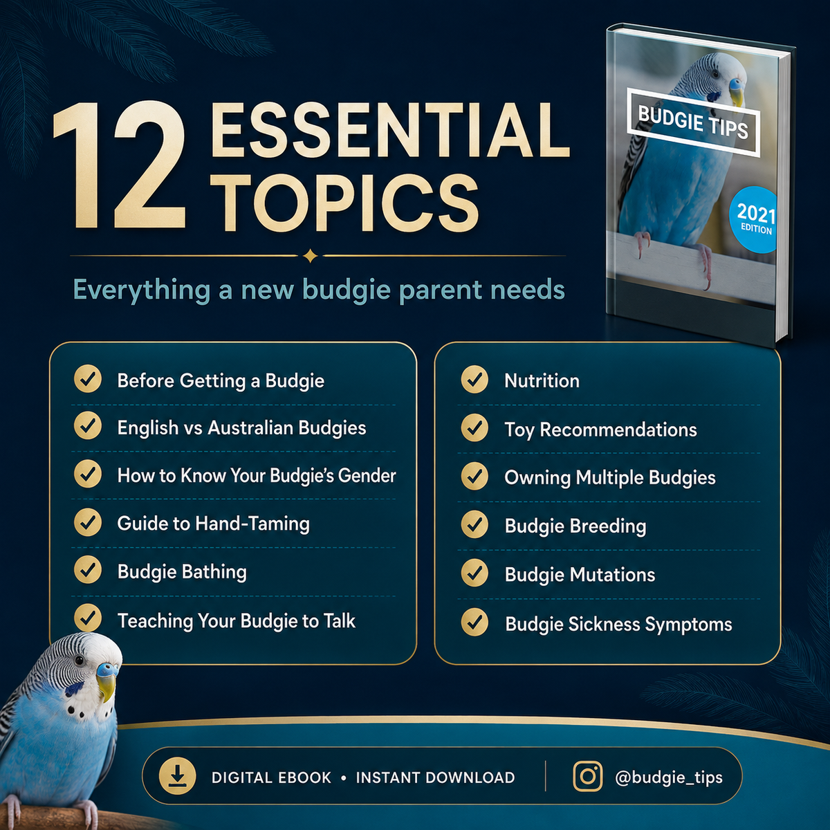 Budgie Educational Ebooks Bundle 2