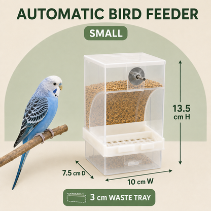 Automatic Bird Feeder