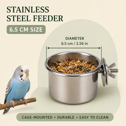 Bird Feeder