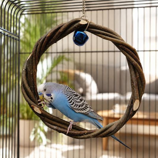 The Wing Swing